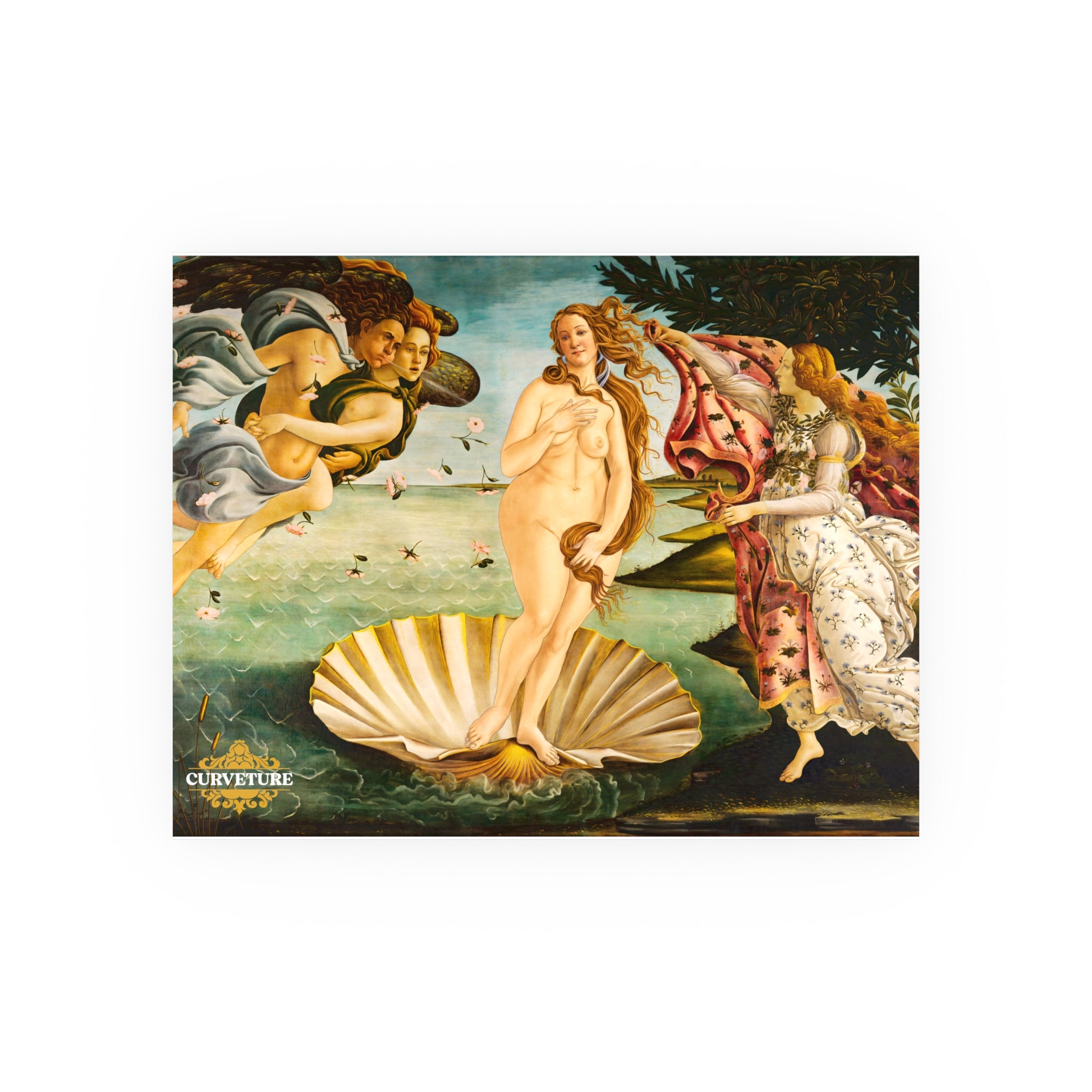 The Girth of Venus Poster