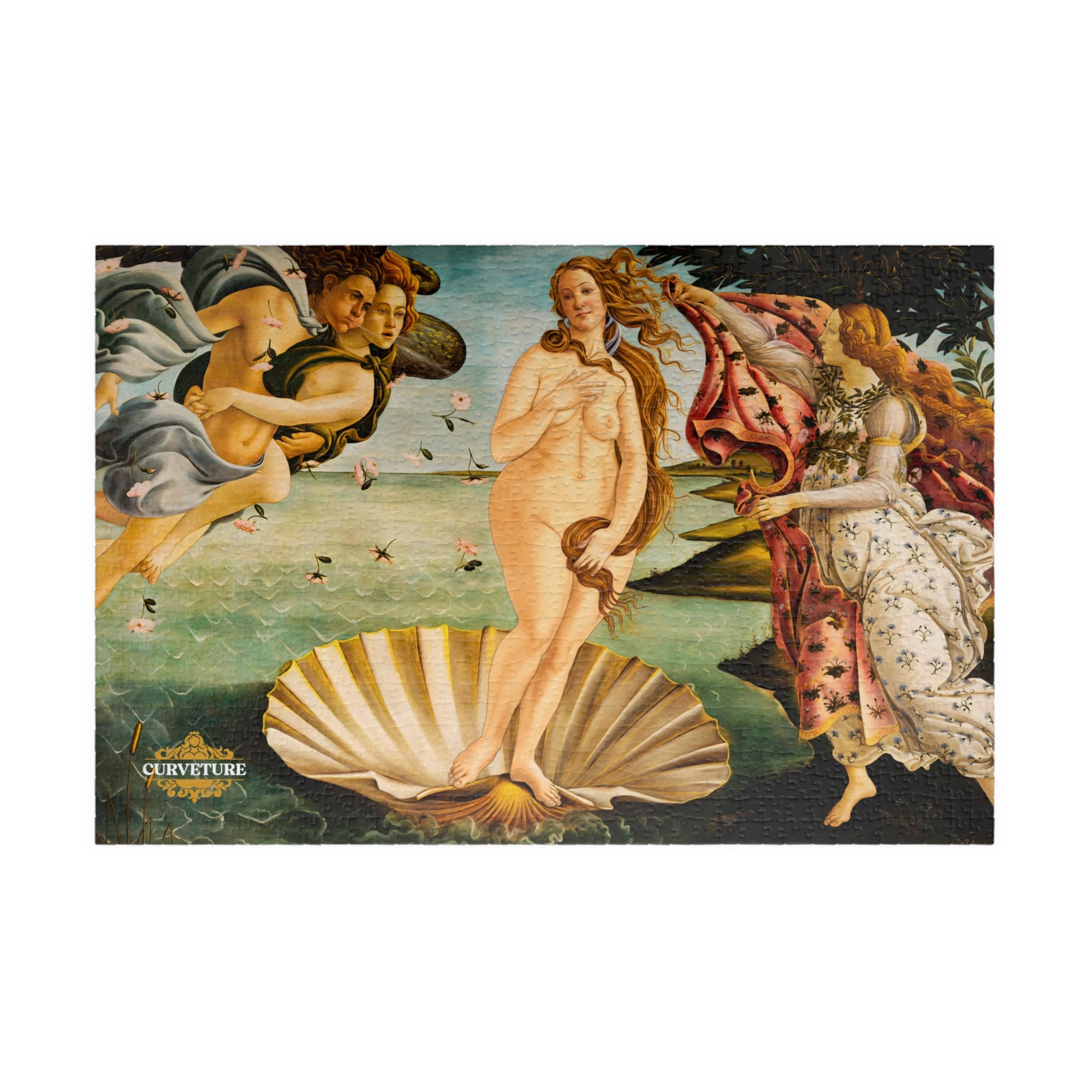 Girth of Venus Puzzle