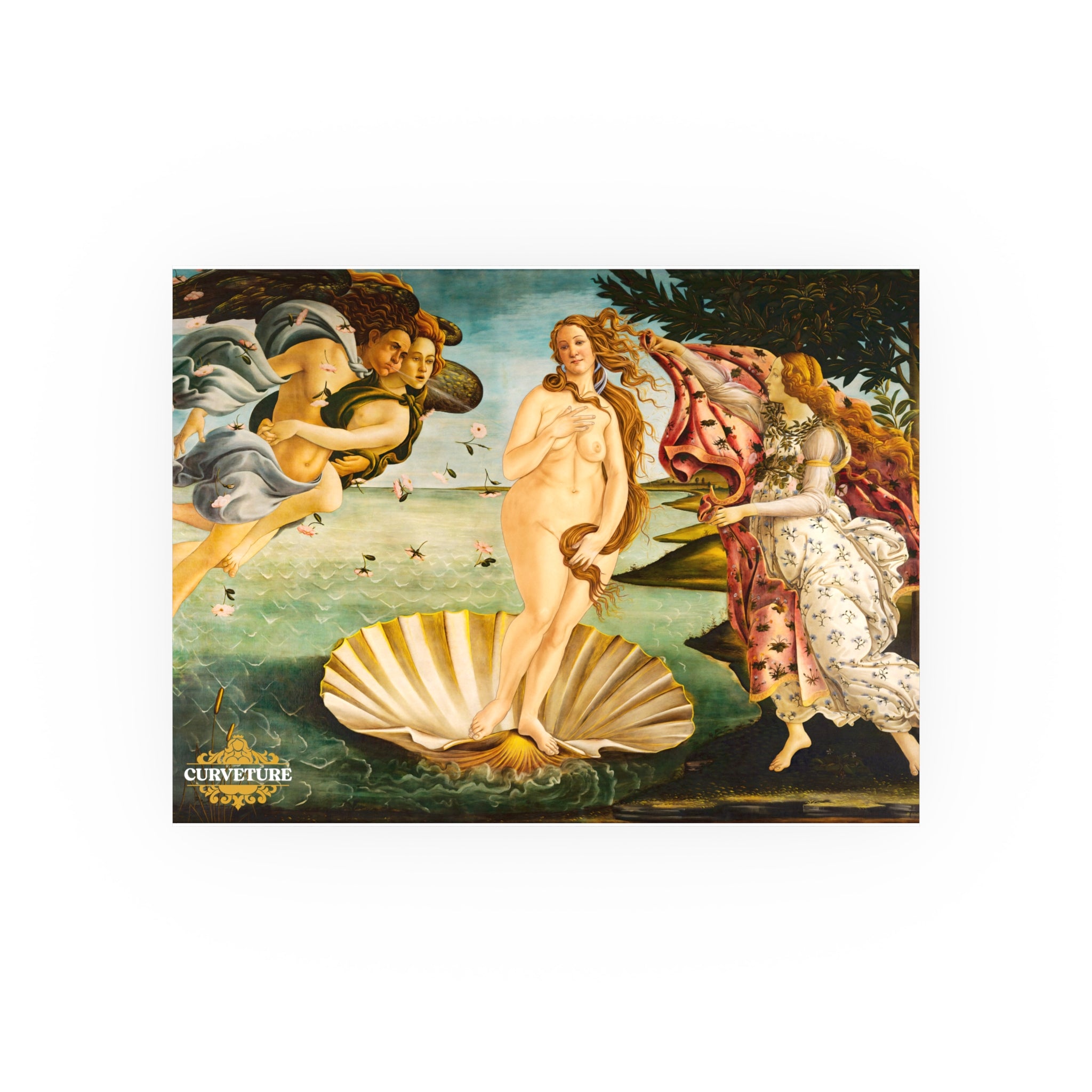 The Girth of Venus Poster