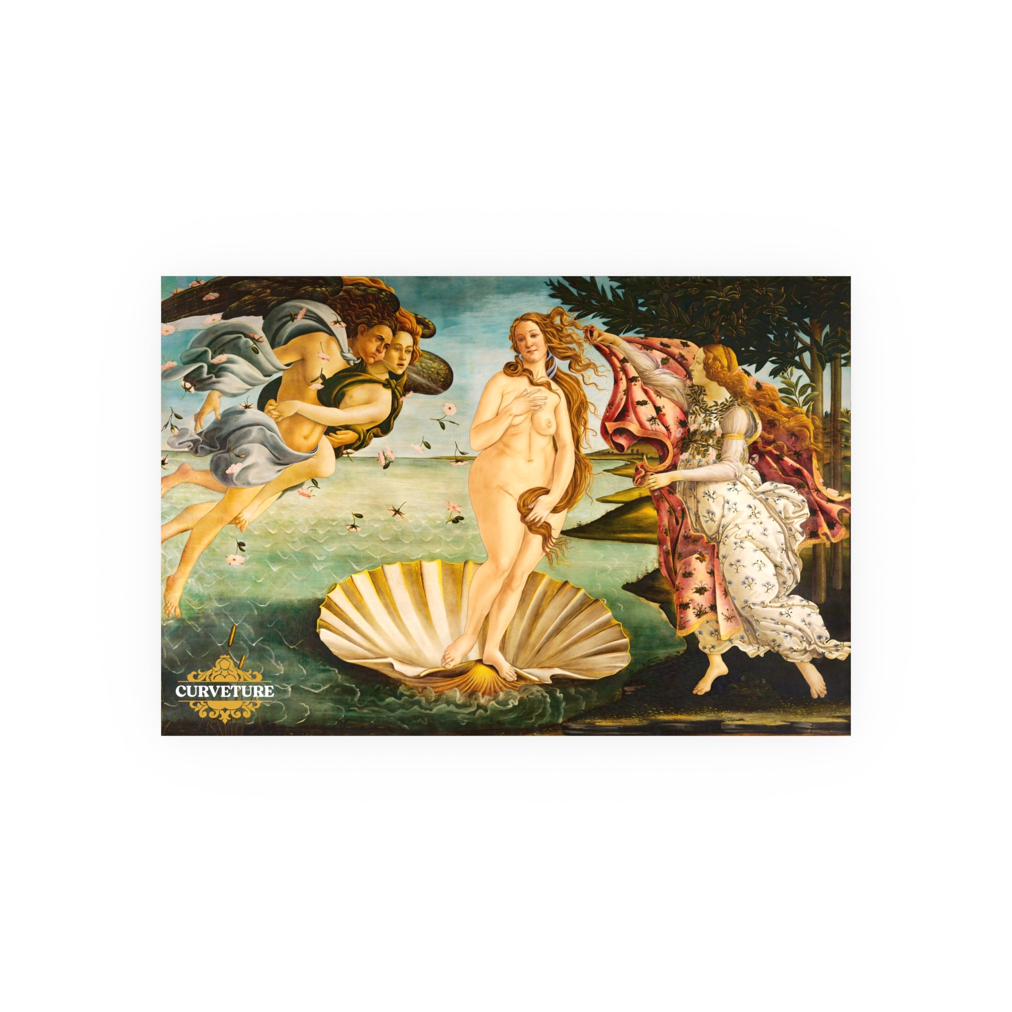 The Girth of Venus Poster