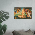 The Girth of Venus Poster