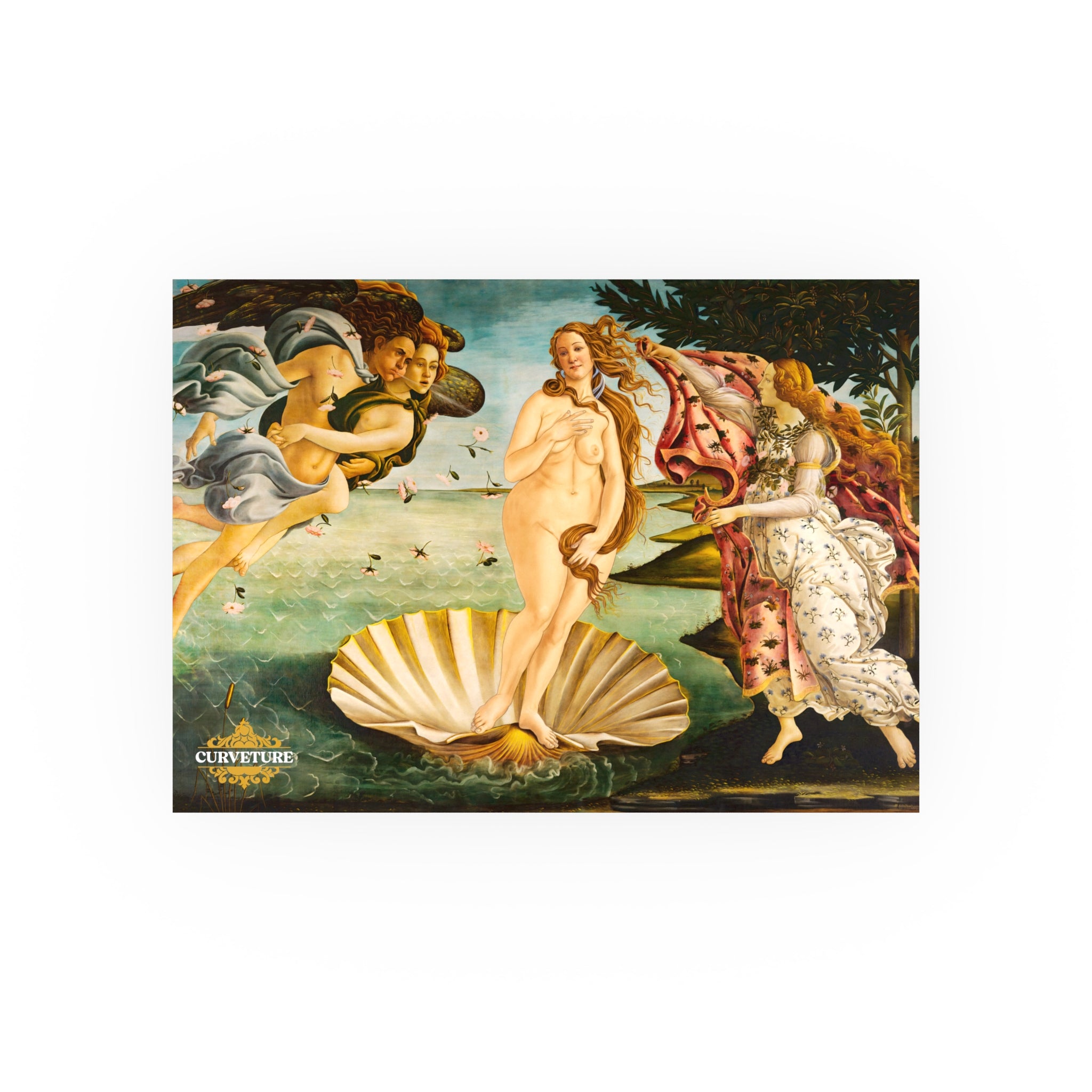The Girth of Venus Poster – Curveture