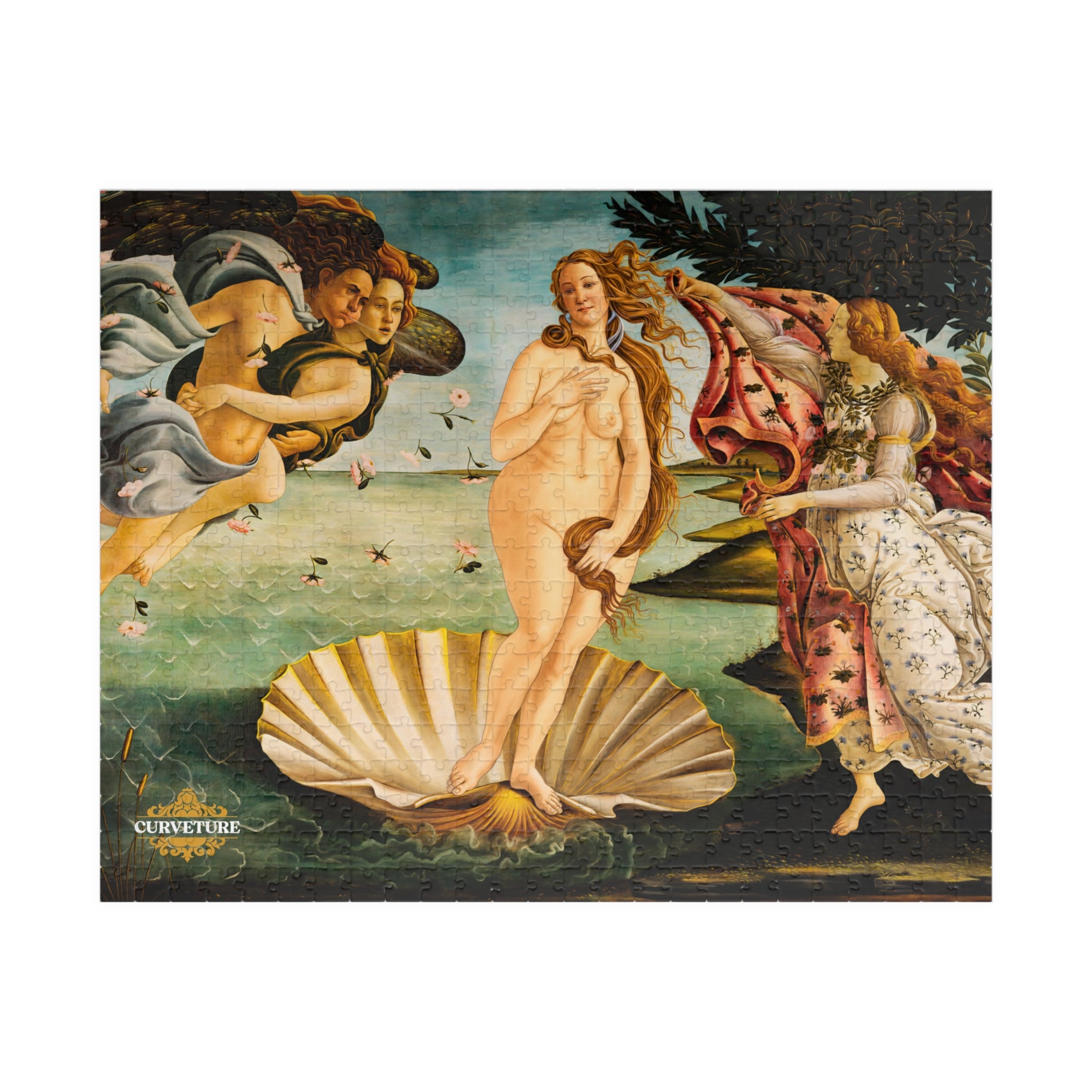 Girth of Venus Puzzle