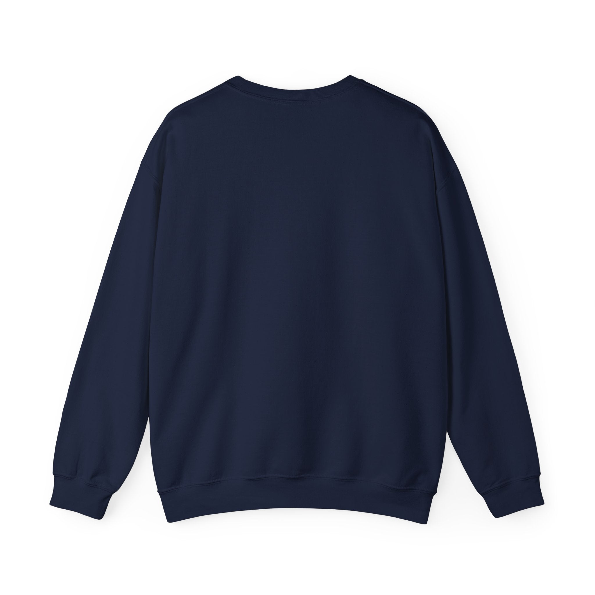 The Plus-Size Swing Sweatshirt