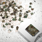 The Queens' Dance Class Puzzle