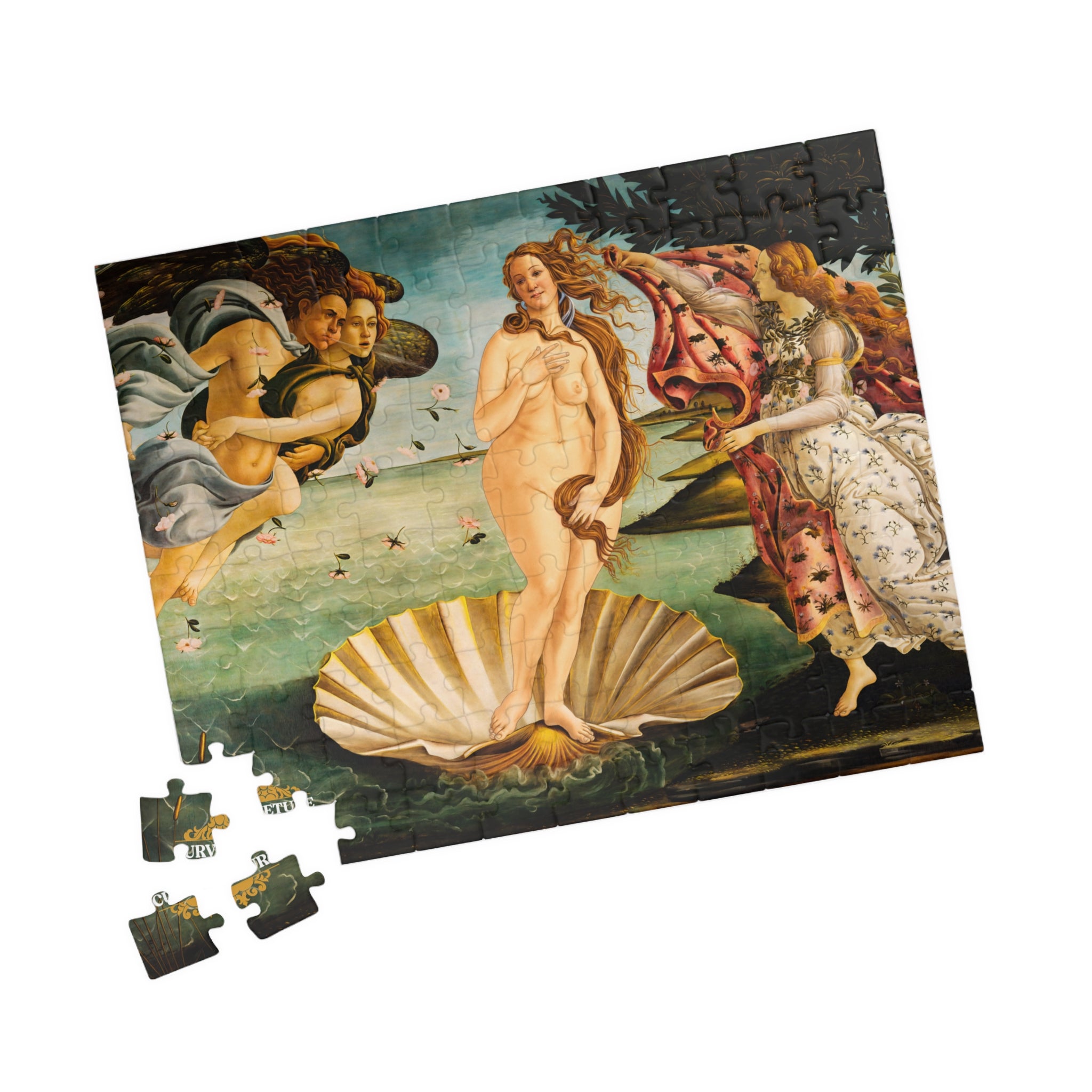 Girth of Venus Puzzle
