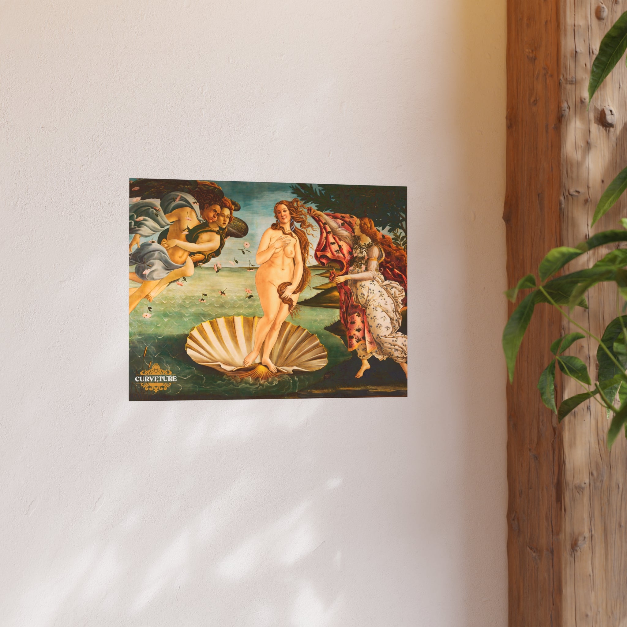 The Girth of Venus Poster – Curveture