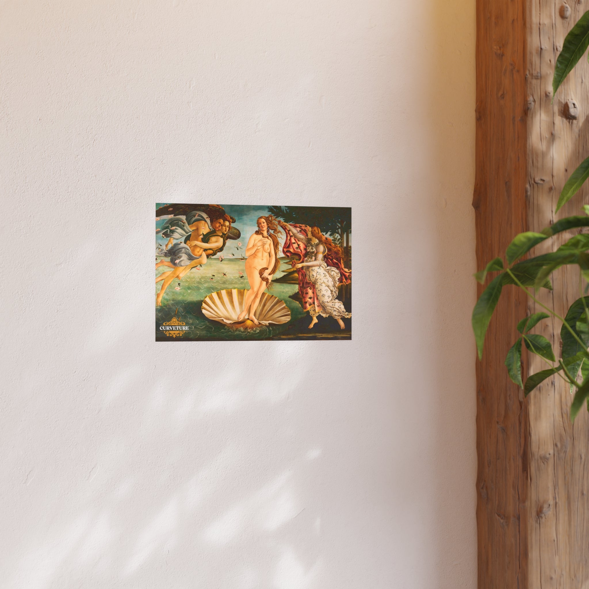 The Girth of Venus Poster – Curveture
