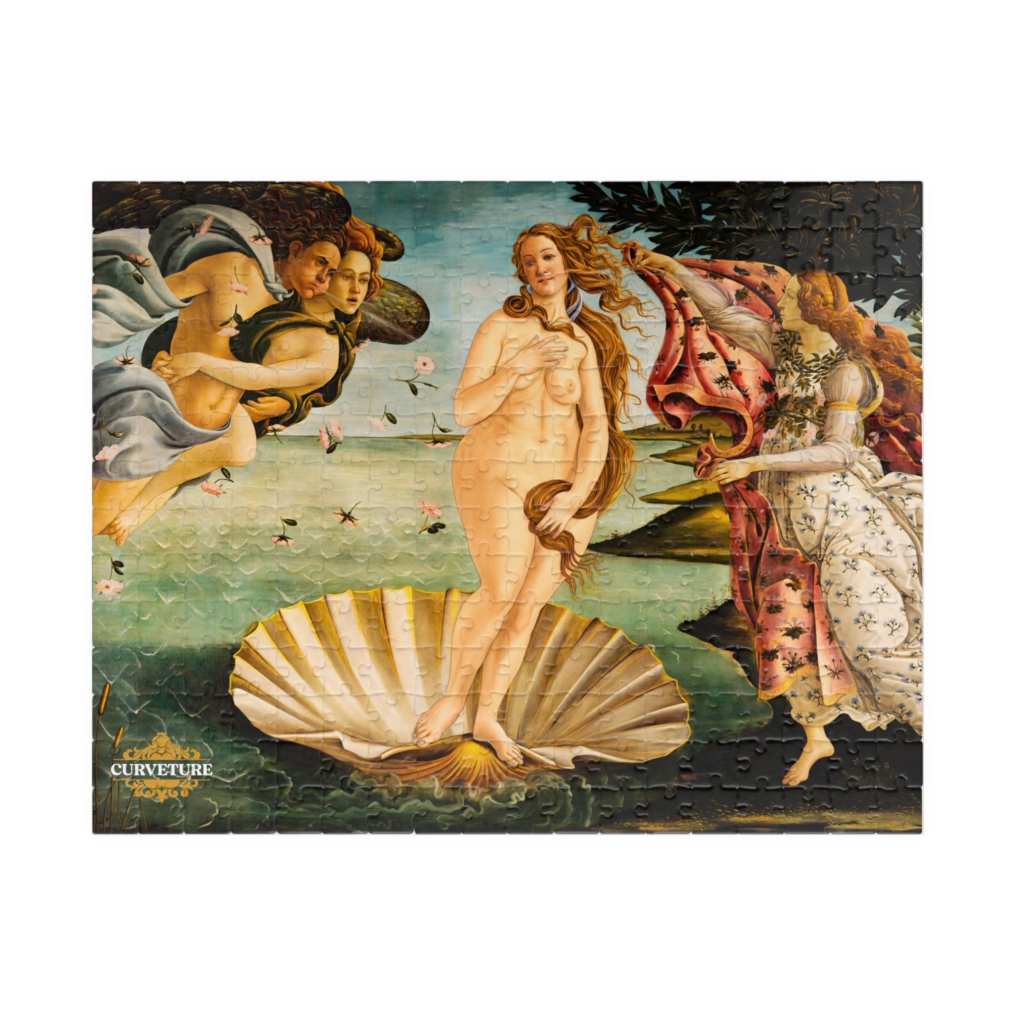 Girth of Venus Puzzle