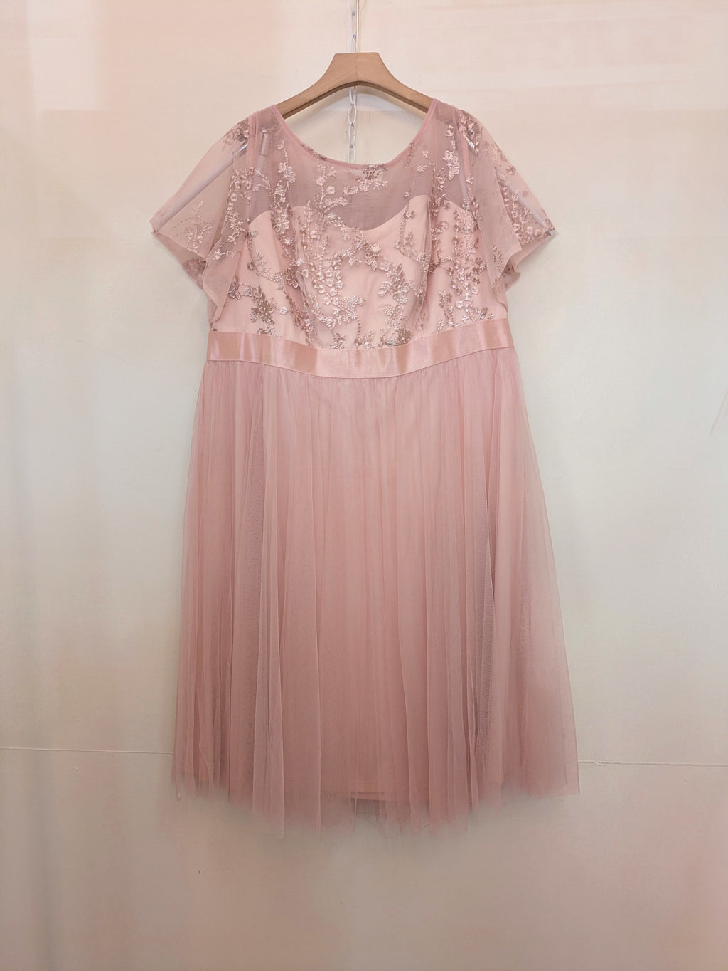 3X - Formal Dress