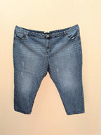 4X - Casual Pant